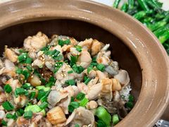 -红星光发煲仔饭(文海店)