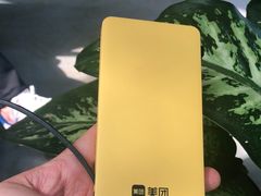 -了不起的考拉咖啡店(高新店)