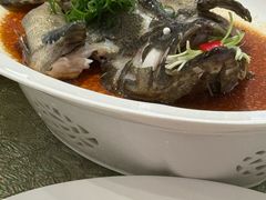 -粤珍轩·家宴·广式茶点(新城广场店)