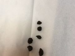 -艾贝尔宠物诊疗