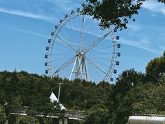 -宜兴龙背山森林公园