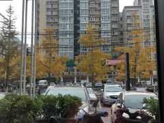 -麦当劳(北苑秋实路店)