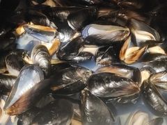 海虹-日丰园海肠水饺·老字号大连海鲜(和平广场店)