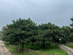 -北京西山国家森林公园