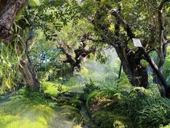 -Chom Cafe and Restaurant