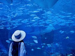-海合安成都极地海洋公园