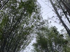 -望江楼公园