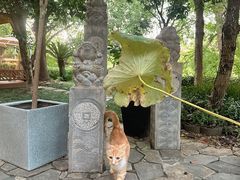-花锦堂·隐庐