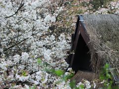 -中国茶叶博物馆(双峰馆区)