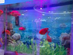 -雅悦齿科(顾村公园店)