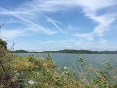 -上海市保健医疗中心(华东疗养院)