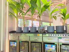 -探窝·竹笙椰子鸡(杨箕店)