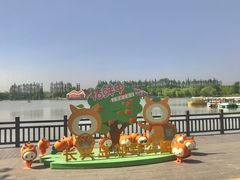 -上海长兴岛郊野公园