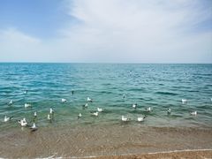 -青海湖国家重点风景名胜区