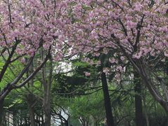 -木塔寺遗址生态公园