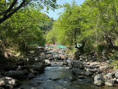 -石台牯牛降景区
