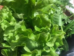 -彤德莱火锅(乐陵路店)