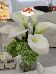 -柒朵科技美肤中心