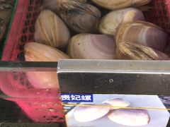 贵妃螺-清水湾3号(东方小周海鲜店)