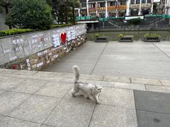 -季氏祖传光明食品店(长泾老街店)