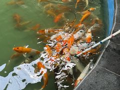 -柳州市动物园