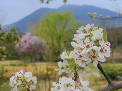 -句容茅山景区
