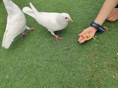 -华谊兄弟（长沙）电影小镇