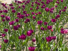 -长春公园(普阳街道)