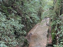 -青城山