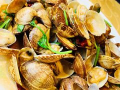 辣炒蛤蜊-海岛渔村大酒店(云霄路店)