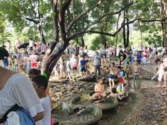-成都市活水公园