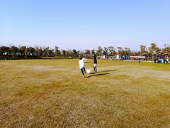 -春花秋色城市公园