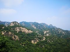 -大岭沟猕猴桃谷风景区