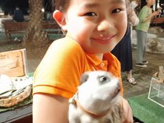 -清迈夜间动物园