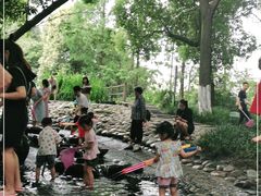 -成都市活水公园
