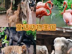 -长鹿旅游休博园