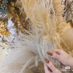 -妙睫屋日式美甲美睫