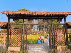 -圩墩遗址公园