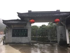 -溪口-滕头旅游景区