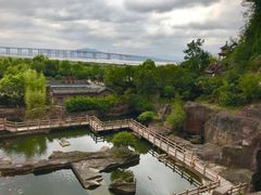 -蛇蟠岛