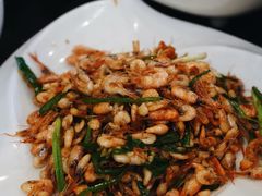 -喜洲翰林餐厅(董家百年老宅店)