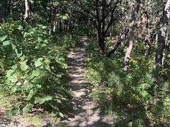 -北京十三陵国家森林公园蟒山景区