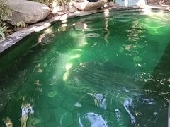 -碧桂园润杨溪谷温泉酒店