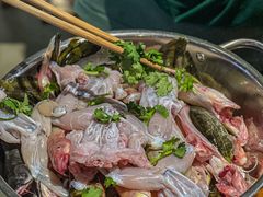 -石锅苗苗鱼(武汉首店)