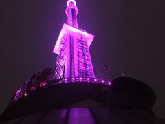 -339旋转餐厅(天府熊猫塔店)