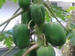 android_upload_pic-裕兴农家饭店