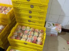 -老袁家蜜桃农场·阳山水蜜桃