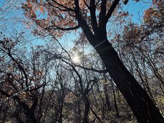 -玉渡山自然风景区