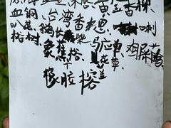 -银湖山郊野公园-相思林
