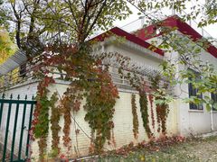 -三里屯东五街银杏大道